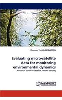 Evaluating micro-satellite data for monitoring environmental dynamics
