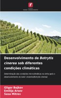 Desenvolvimento de Botrytis cinerea sob diferentes condições climáticas