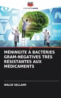 Méningite À Bactéries Gram-Négatives Très Résistantes Aux Médicaments