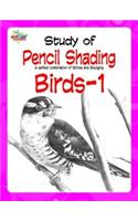 Study of Pencil Shading Birds