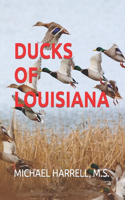 Ducks of Louisiana