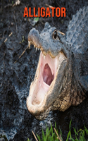 Alligator