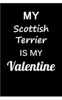My Scottish Terrier Is My Valentine
