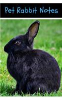 Pet Rabbit Notes