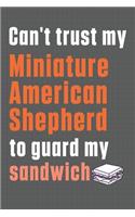 Can't trust my Miniature American Shepherd to guard my sandwich: For Miniature American Shepherd Dog Breed Fans