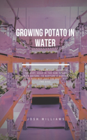 Growing Potato In Water: The Ultimate Beginners Guide to Building a Hydroponic System