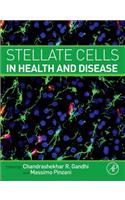 Stellate Cells in Health and Disease