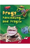 Frogs: Fascinating... and Fragile