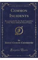 Common Incidents: Recommended by the Book Committee of the Maine Sabbath School Union (Classic Reprint)