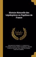 Histoire Naturelle des Lépidoptères ou Papillons de France