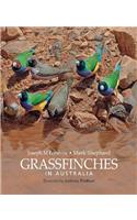 Grassfinches in Australia