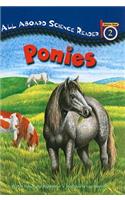 Ponies