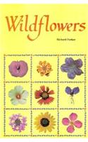 Wildflowers