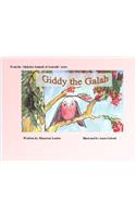 Giddy the Galah