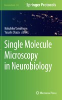 Single Molecule Microscopy in Neurobiology