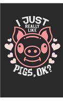 I Just Really Like Pigs, OK?: Notebook I Journal I Diary I 6x9 (A5) -120 Pages I Dot Grid Paper I Perfect Gift For Pig Lovers and Barbecue Pitmasters.