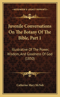 Juvenile Conversations On The Botany Of The Bible, Part 1: Illustrative Of The Power, Wisdom, And Goodness Of God (1850)(English)