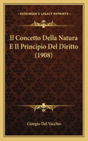 Concetto Della Natura E Il Principio Del Diritto (1908)