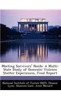 Meeting Survivors' Needs