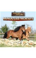Miniature Horses