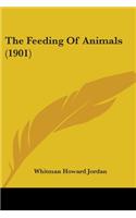 Feeding Of Animals (1901)