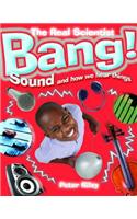 Bang-Sound and How We Hear Things: (The Real Scientist)