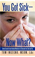 You Got Sick-Now What?: Seven Secrets from Oriental Medicine to Eliminate the Cold and Flu(English)