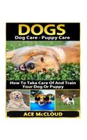 Dogs: Dog Care- Puppy Care- How to Take Care of and Train Your Dog or Puppy: Dog Care - Puppy Care: How to Take Care of and Train Your Dog or Puppy