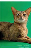 Abyssinian Cat Affirmations Workbook Abyssinian Cat Presents: Positive and Loving Affirmations Workbook. Includes: Mentoring Questions, Guidance, Supporting You.