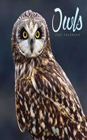 OWLS SQUARE WALL CALENDAR 2021