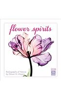 Flower Spirits 2018 Calendar: Radiographs of Nature