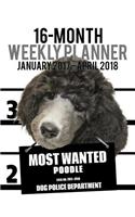 2017-2018 Weekly Planner - Most Wanted Poodle: Daily Diary Monthly Yearly Calendar