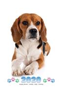 2020 Beagle Planner - Weekly - Daily - Monthly