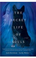 The Secret Life of Souls