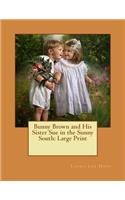 Bunny Brown and His Sister Sue in the Sunny South: Large Print