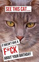 See This Cat... It Doesn't Give a F*ck about Your Birthday