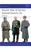 World War II Soviet Armed Forces (3)