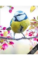 Bird Notebook Collection