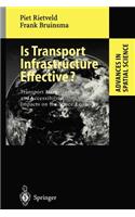 Is Transport Infrastructure Effective?