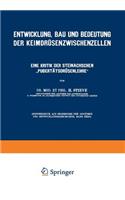 Entwicklung, Bau und Bedeutung der Keimdrüsenzwischenzellen