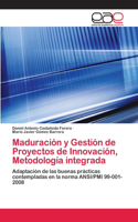 Maduración y Gestión de Proyectos de Innovación, Metodología integrada