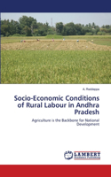 Socio-Economic Conditions of Rural Labour in Andhra Pradesh