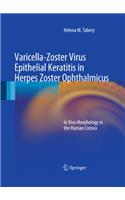 Varicella-Zoster Virus Epithelial Keratitis in Herpes Zoster Ophthalmicus