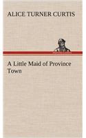 A Little Maid of Province Town