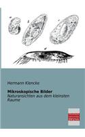 Mikroskopische Bilder