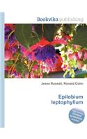 Epilobium Leptophyllum: (English)