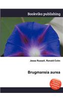 Brugmansia Aurea: (English)