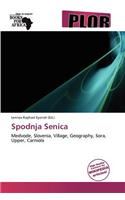 Spodnja Senica
