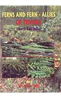 Ferns and Fern Allies of Tripura