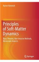 Principles of Soft-Matter Dynamics: Basic Theories, Non-Invasive Methods, Mesoscopic Aspects